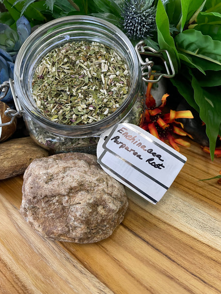 Echinacea, Organic Loose Leaf Tea