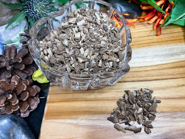 Burdock Root, Organic Loose Leaf Tea