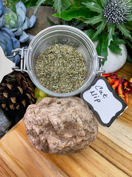 Cat Nip, Organic Loose Leaf Tea