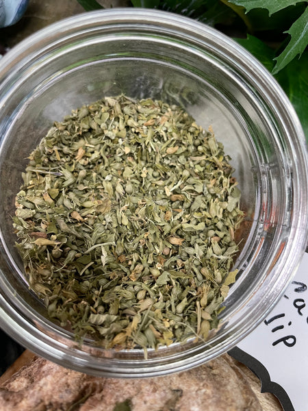 Cat Nip, Organic Loose Leaf Tea