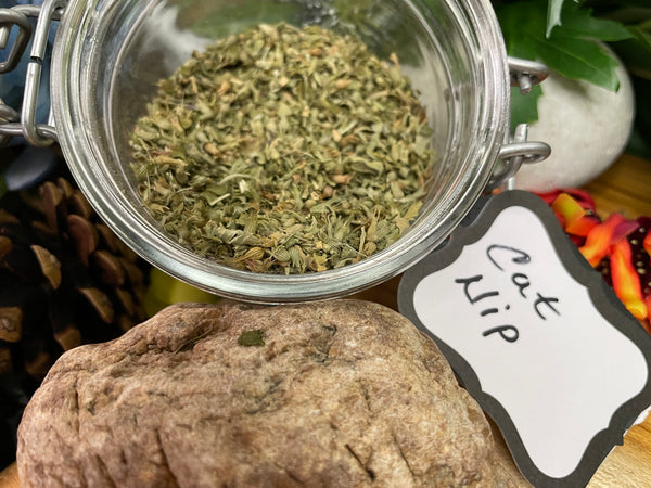 Cat Nip, Organic Loose Leaf Tea