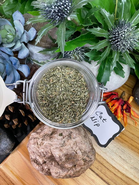 Cat Nip, Organic Loose Leaf Tea