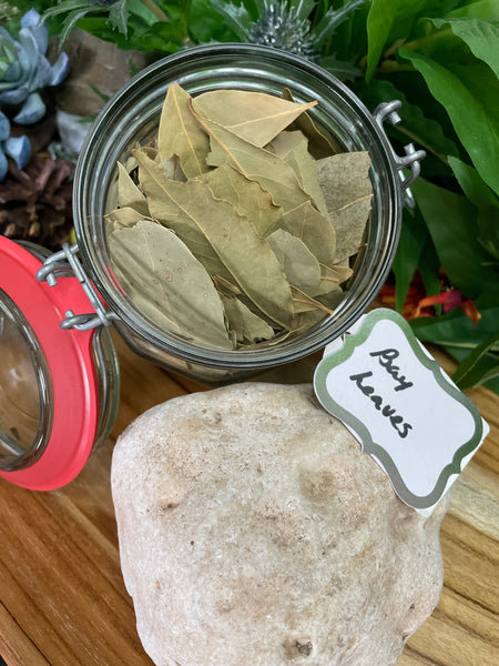 Bay Leaf, Organic Loose Leaf Tea
