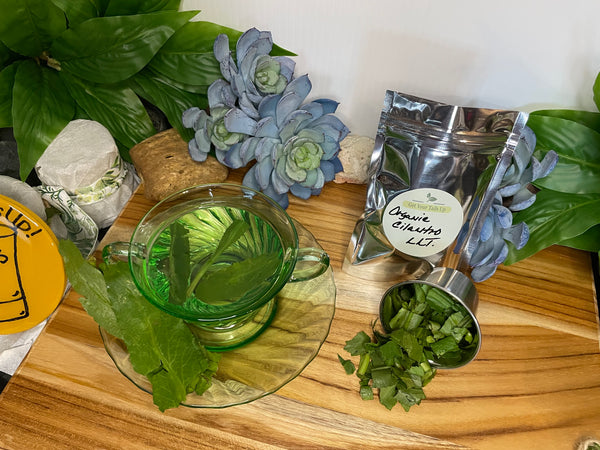 Cilantro, Organic Roots & Loose Leaf Tea