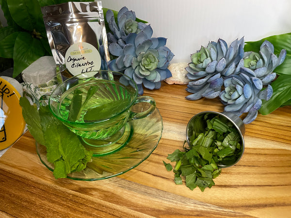 Cilantro, Organic Roots & Loose Leaf Tea