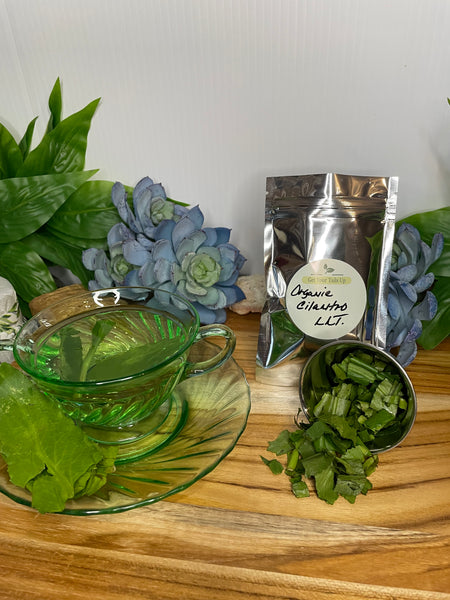 Cilantro, Organic Roots & Loose Leaf Tea