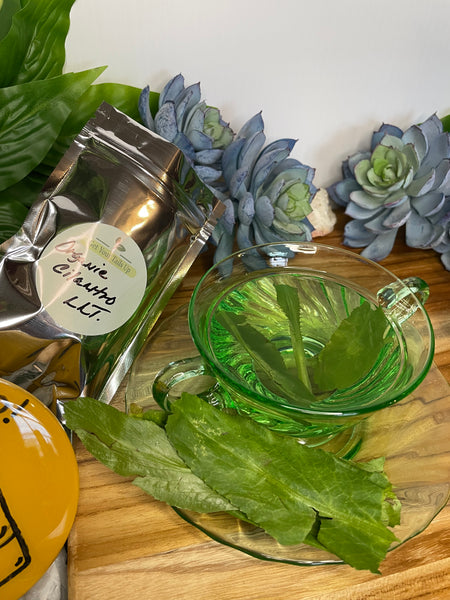 Cilantro, Organic Roots & Loose Leaf Tea