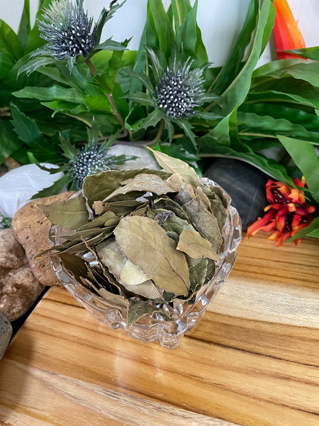 Bay Leaf, Organic Loose Leaf Tea