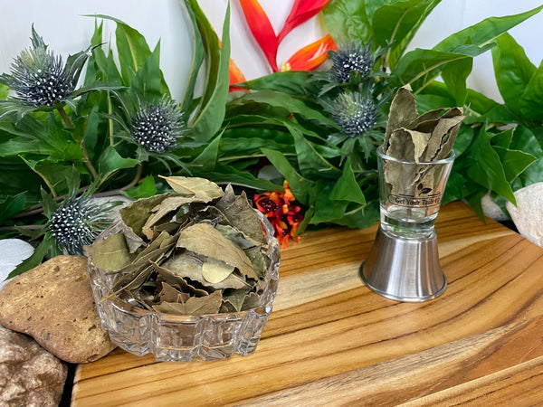 Bay Leaf, Organic Loose Leaf Tea