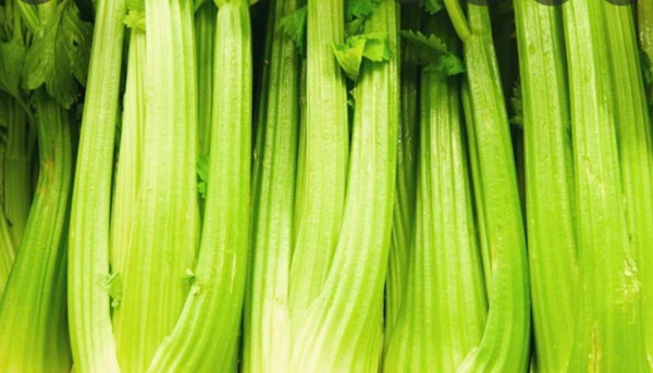 Organic Celery Juice