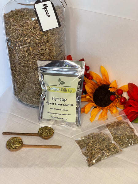 Hyssop, Organic Loose Leaf Tea