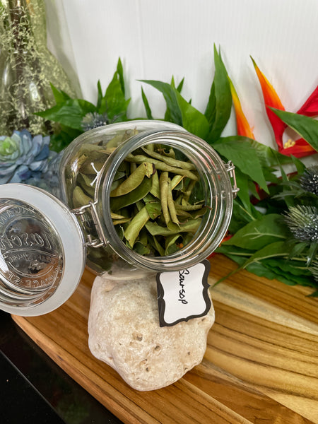 Soursop, Organic Loose Leaf Tea