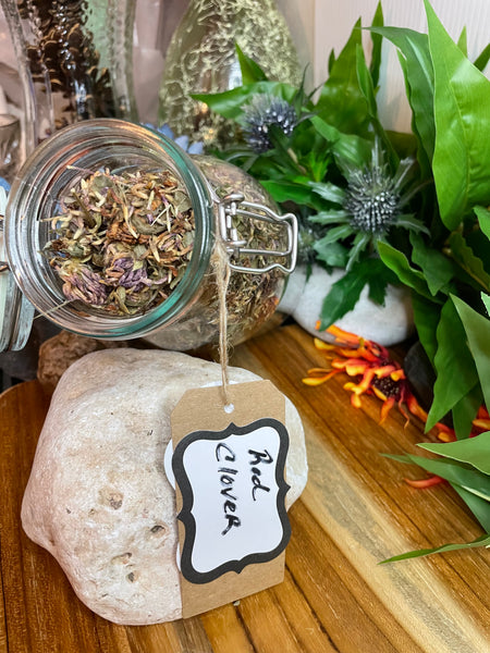 Red Clover Blossom, Organic Loose Leaf Tea