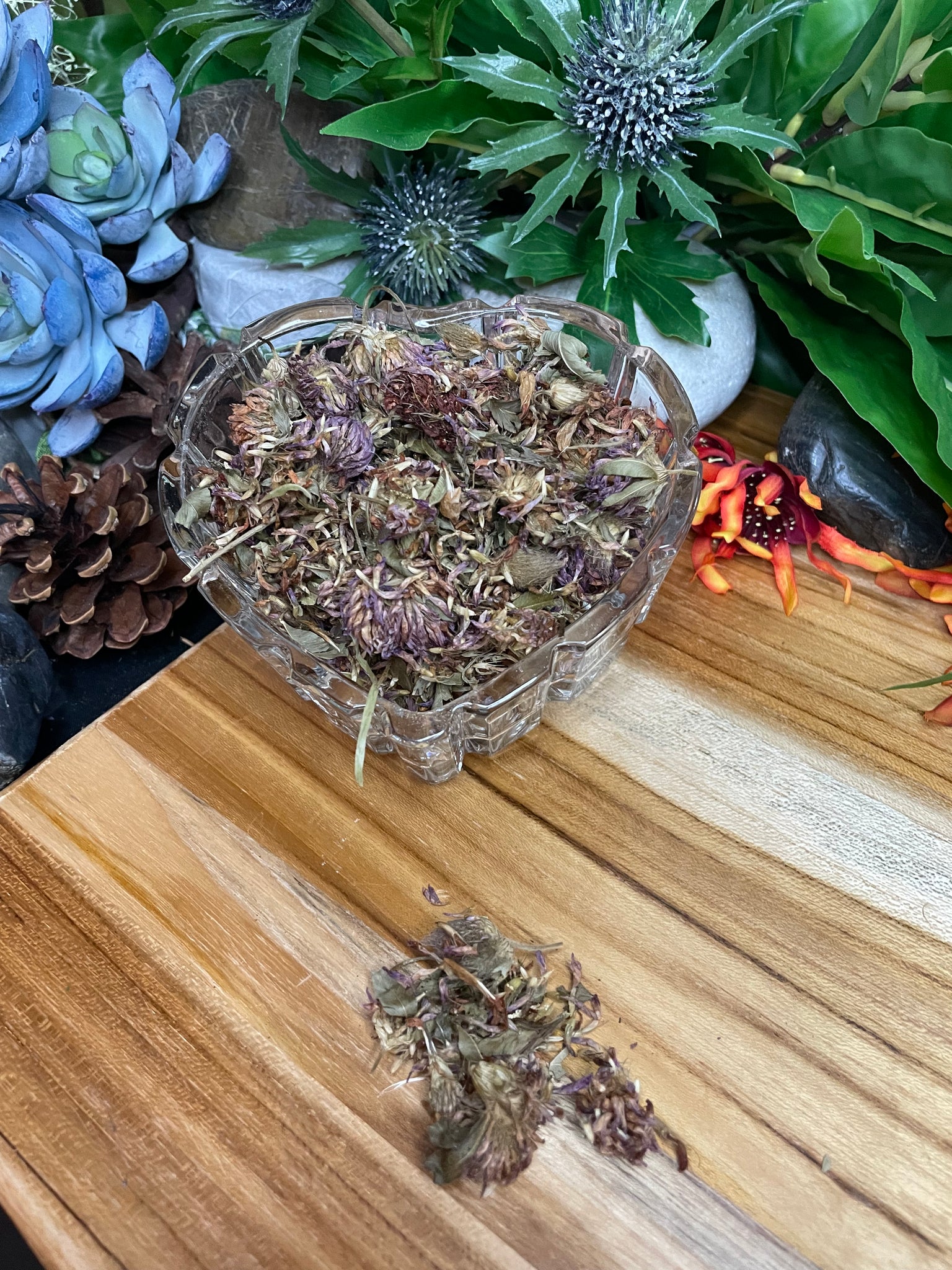 Red Clover Blossom, Organic Loose Leaf Tea