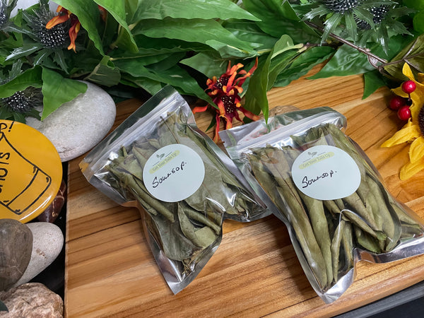 Soursop, Organic Loose Leaf Tea or Liquid