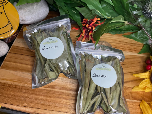 Soursop, Organic Loose Leaf Tea or Liquid