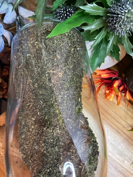 Stinging Nettle, Organic Loose Leaf Tea