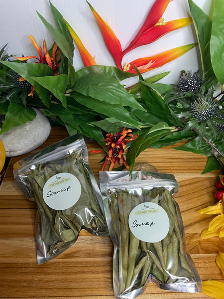 Soursop, Organic Loose Leaf Tea or Liquid