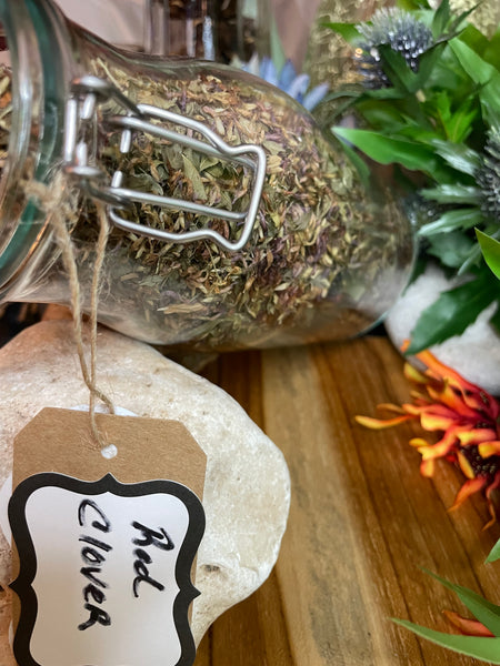 Red Clover Blossom, Organic Loose Leaf Tea