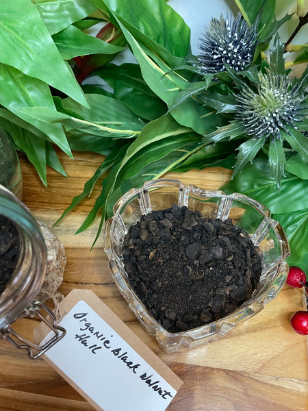 Black Walnut Hulls, Organic Loose Leaf Tea