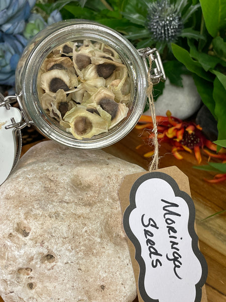 Moringa, Organic Moringa Seeds / Olefera Dried Seeds.