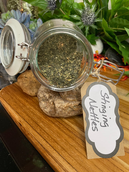 Stinging Nettle, Organic Loose Leaf Tea