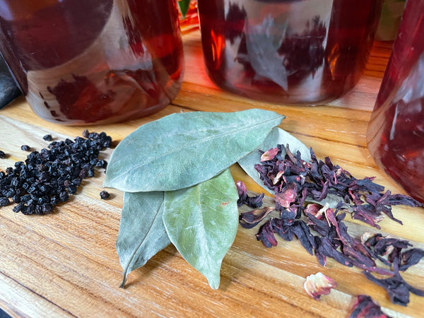 Soursop, Elderberry & Hibiscus Tea