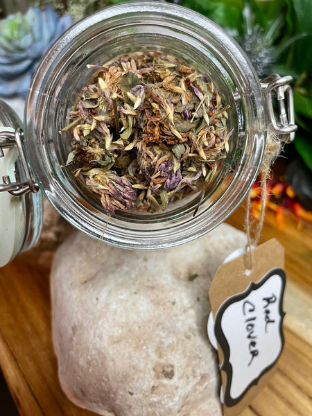 Red Clover Blossom, Organic Loose Leaf Tea