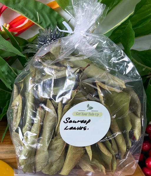 Soursop, Organic Loose Leaf Tea or Liquid
