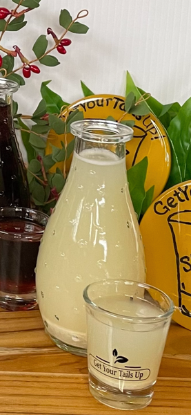 Organic Ginger Tonic Juice