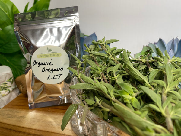 Oregano, Organic Loose Leaf Tea