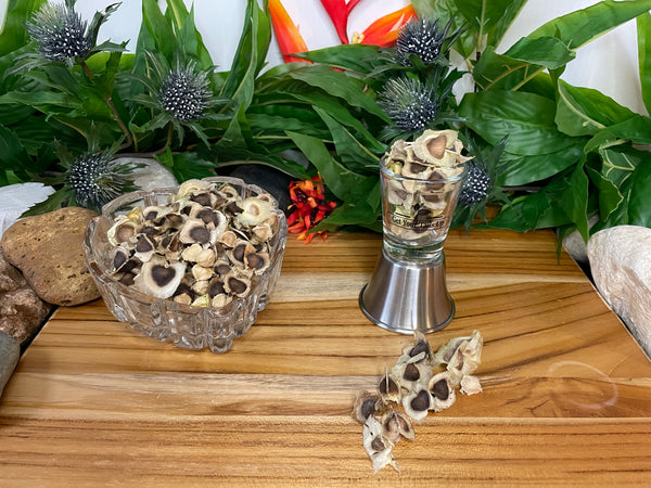 Moringa, Organic Moringa Seeds / Olefera Dried Seeds.