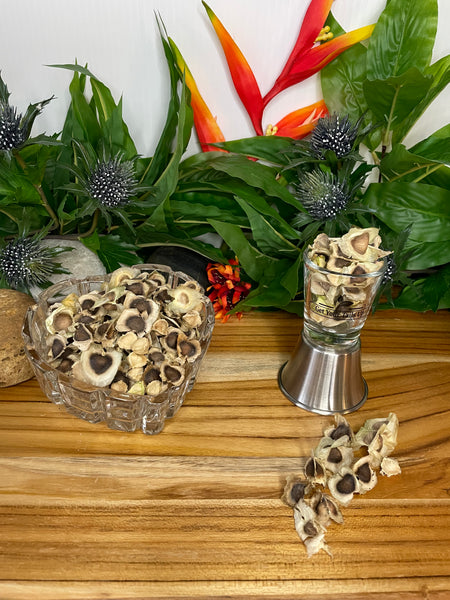Moringa, Organic Moringa Seeds / Olefera Dried Seeds.