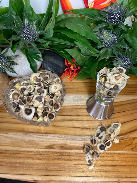 Moringa, Organic Moringa Seeds / Olefera Dried Seeds.