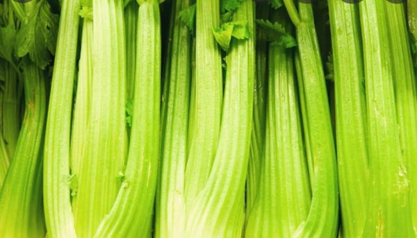 Organic Celery Juice, Hydration