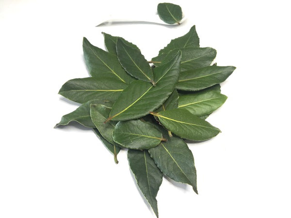 Bay Leaf, Organic Loose Leaf Tea