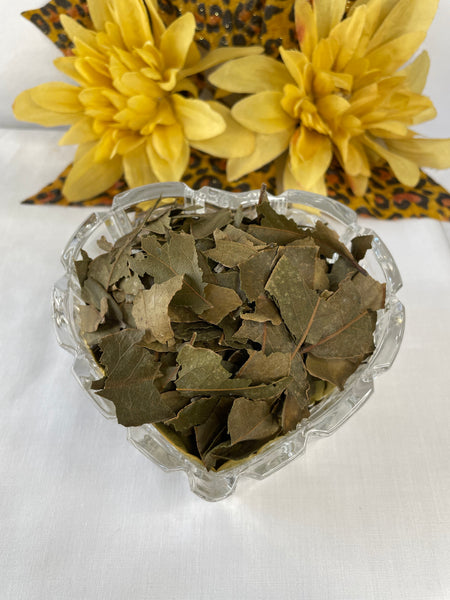 Bay Leaf, Organic Loose Leaf Tea