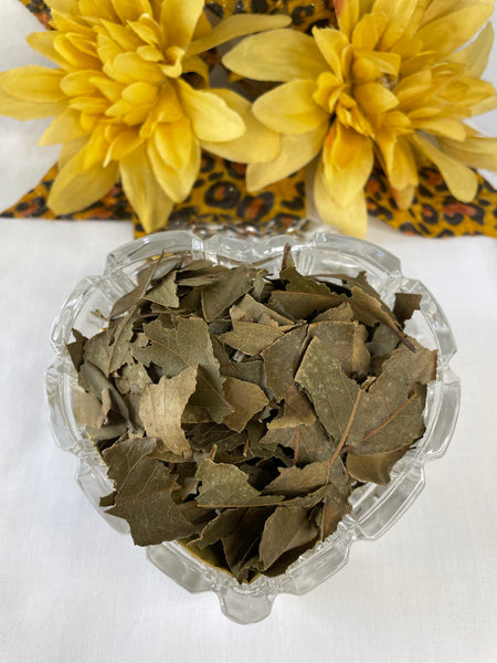 Bay Leaf, Organic Loose Leaf Tea